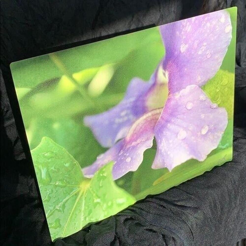 Stunning Dew Kissed Flower Signed Metal Photograph Print Art Wall Hanging
